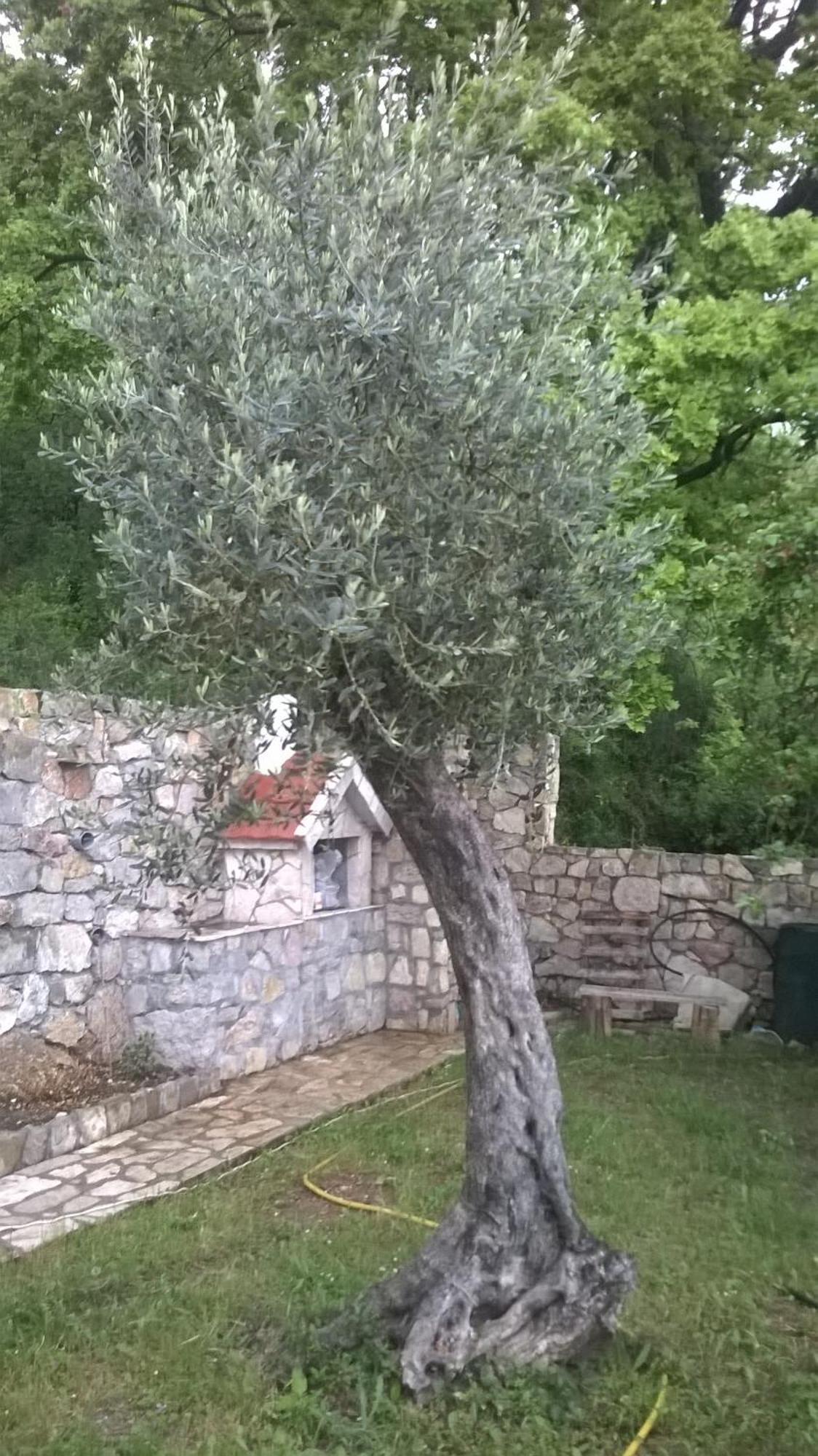 Vila House Stijepovic Petrovac Pokoj fotografie